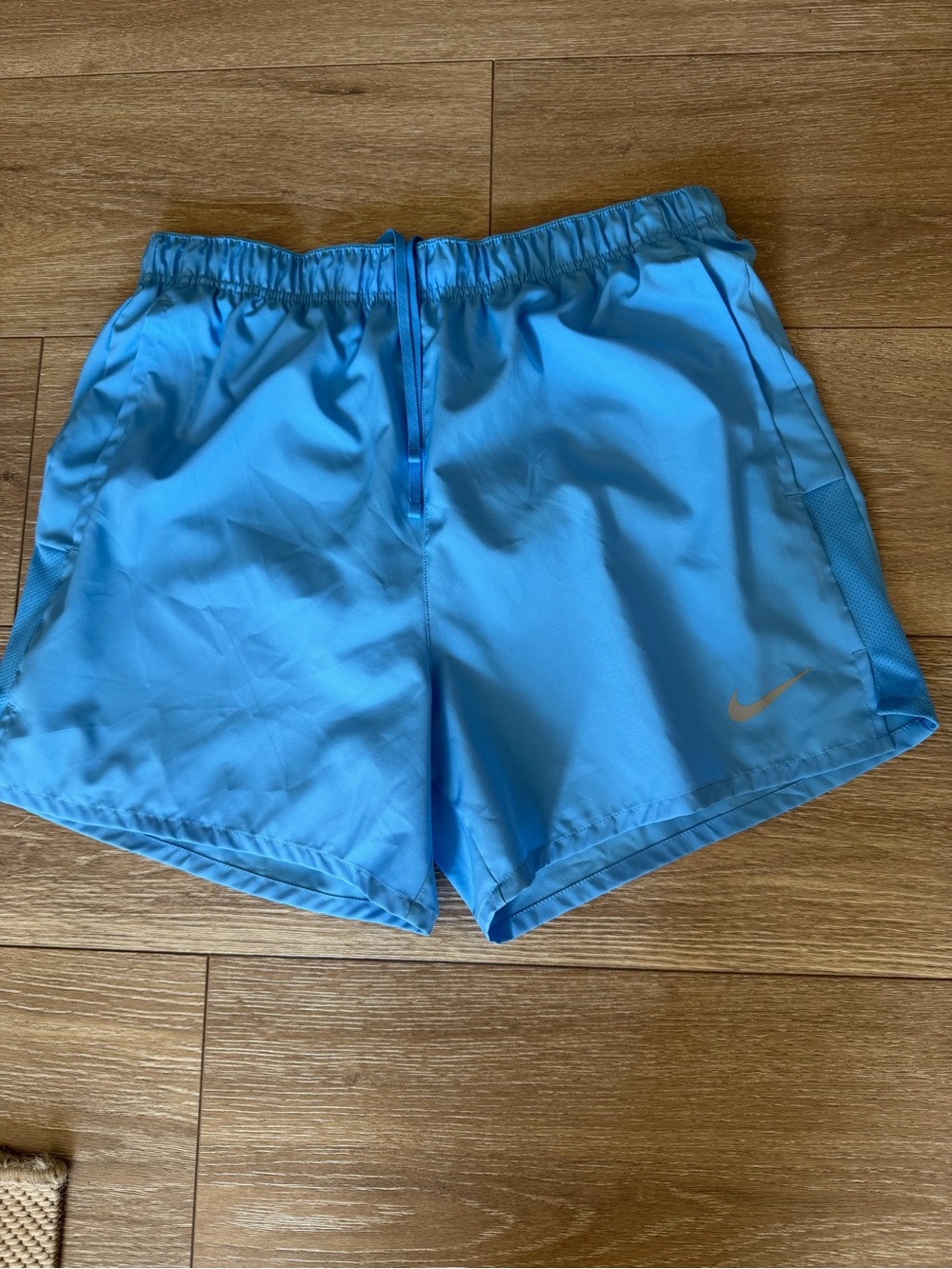 Nike Women’s Sky Blue Athletic Shorts with Silver Swoosh
